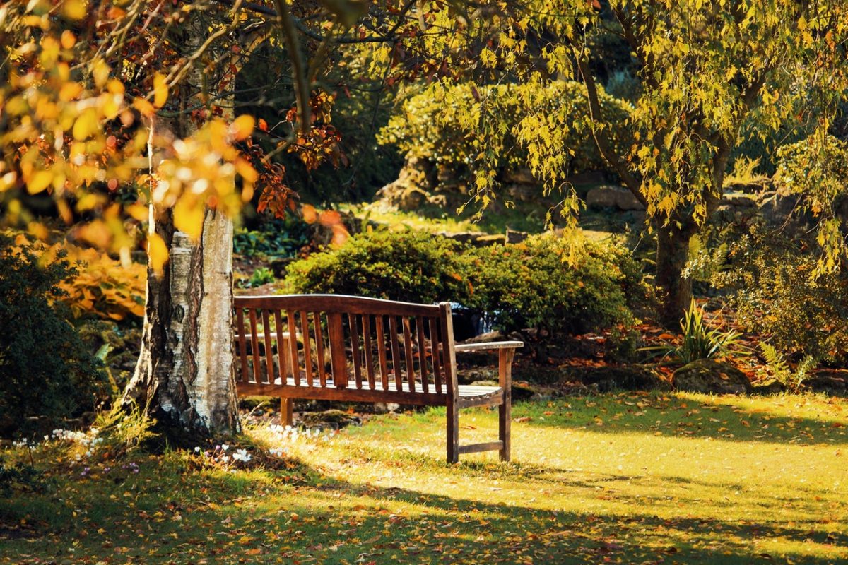 Jardin bien entretenu avec fleurs colorées et pelouse verte
