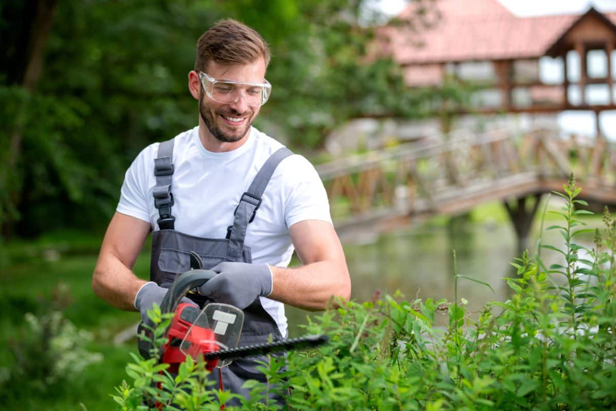 Jardinier arrosant des plantes pendant une période de sécheresse