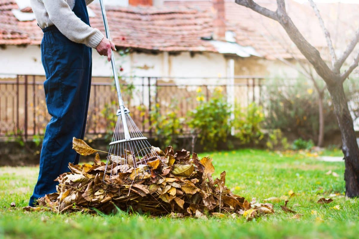 Jardin d'automne avec feuilles tombées et outils de jardinage