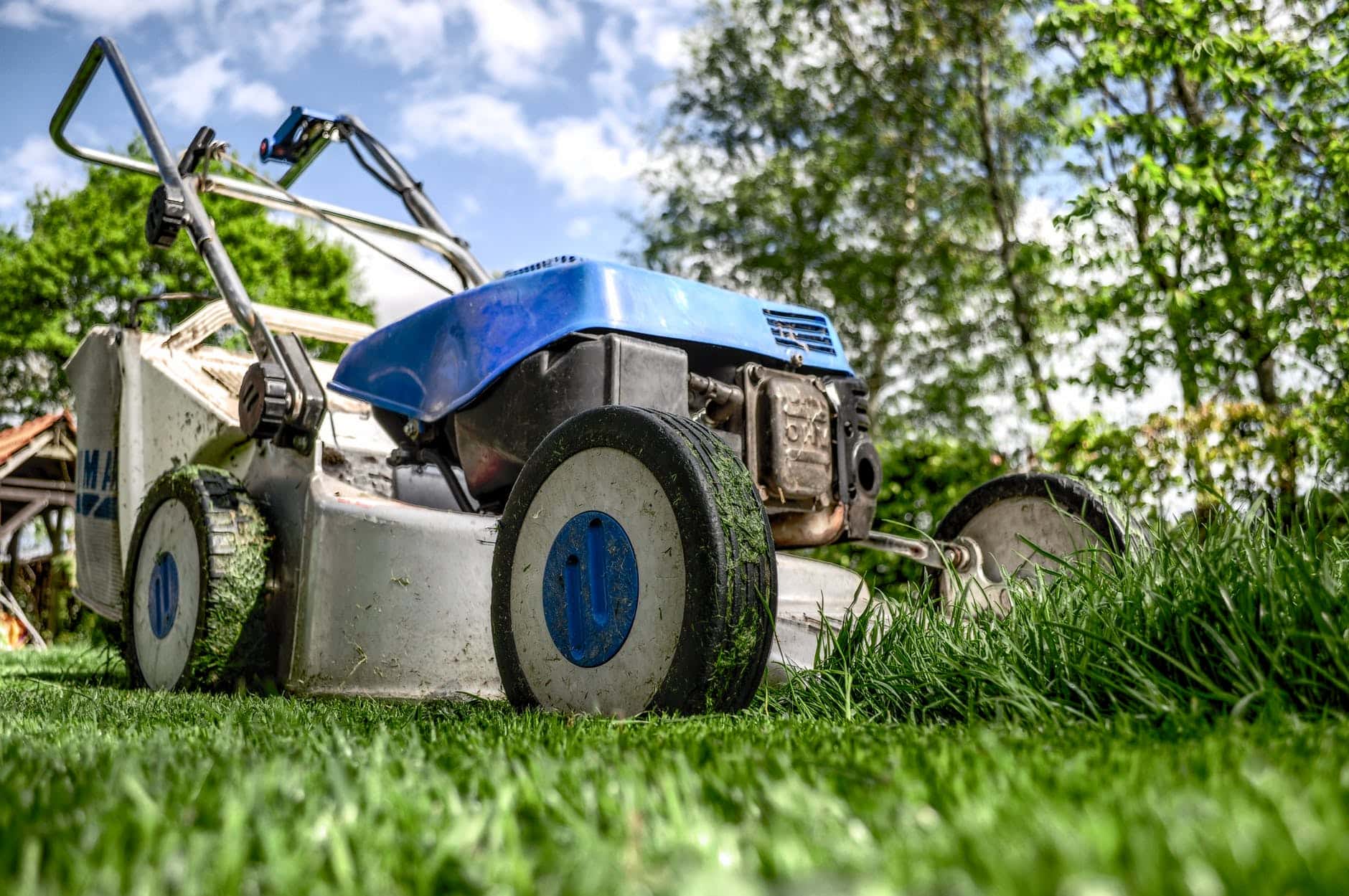 Jardin verdoyant avec une tondeuse robot en action