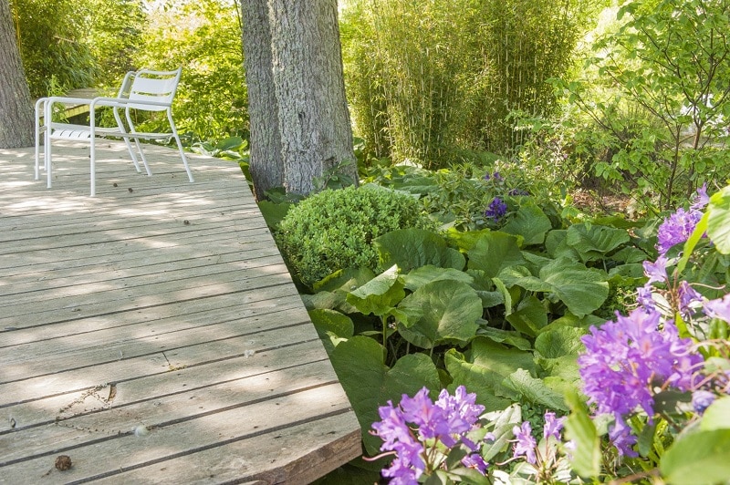 De la biodiversité dans son jardin