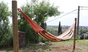 Hamac en toile suspendu dans un jardin verdoyant