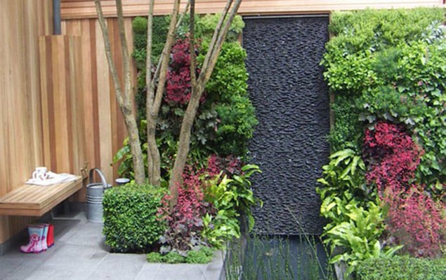 Plantes grimpantes adaptées pour un mur nordique décoratif