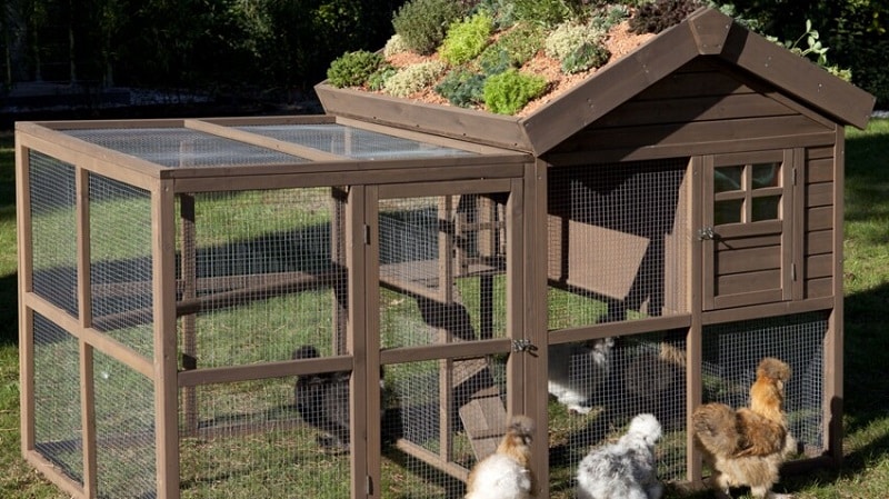 Pourquoi et comment choisir une volière pour son jardin