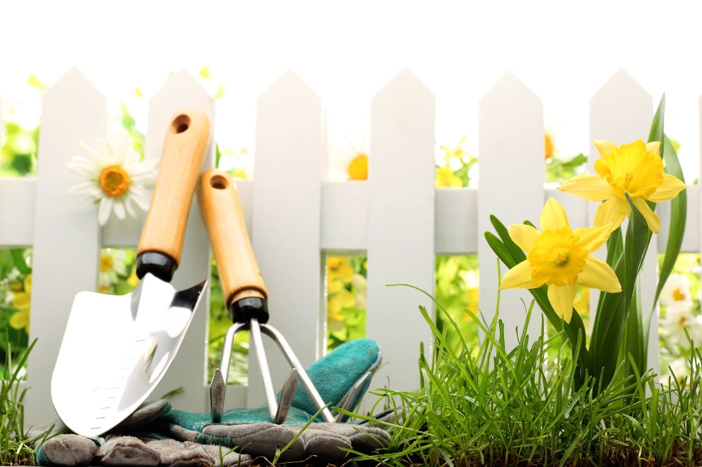 Outils de jardinage variés sur une table en bois