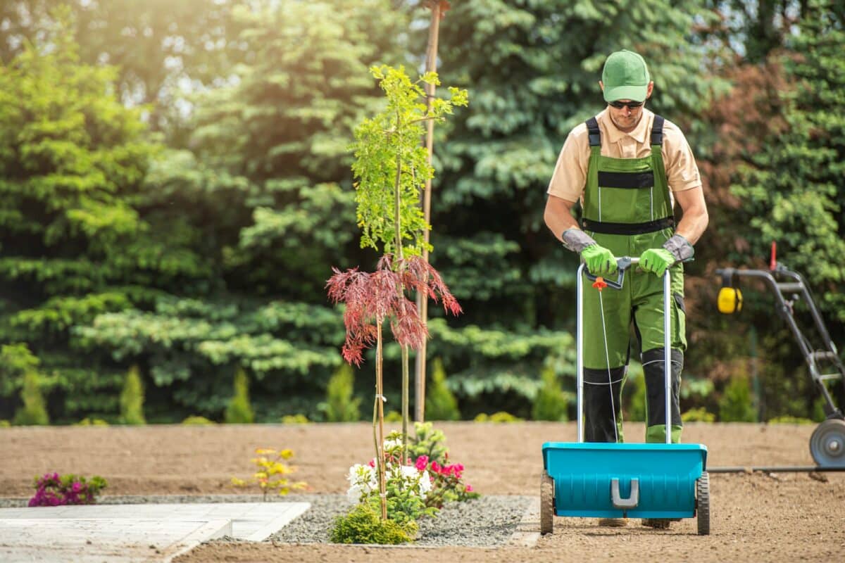 Semoir maraîcher en action dans un potager verdoyant