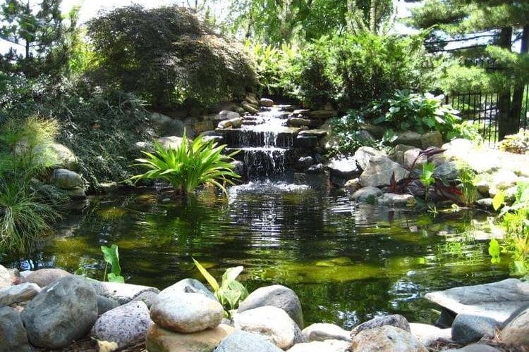 cascade décorative dans un jardin avec bassin aquatique