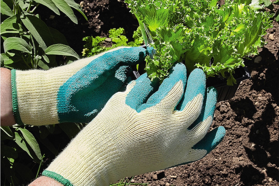 Gants de jardinage en cuir et tissu sur un fond de jardin verdoyant