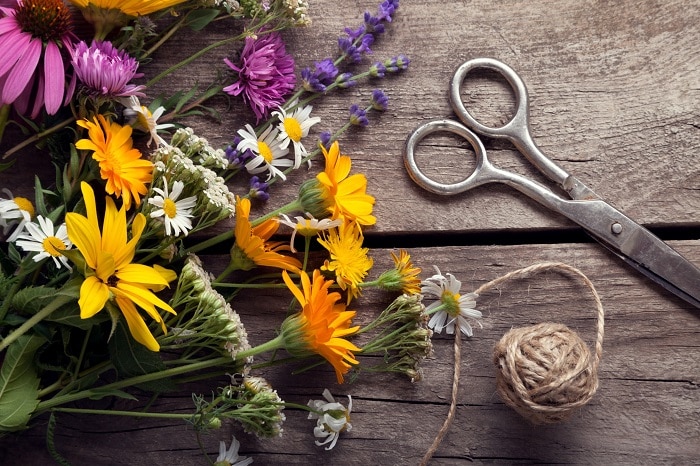 Fleurs colorées dans un vase pour une décoration intérieure accueillante