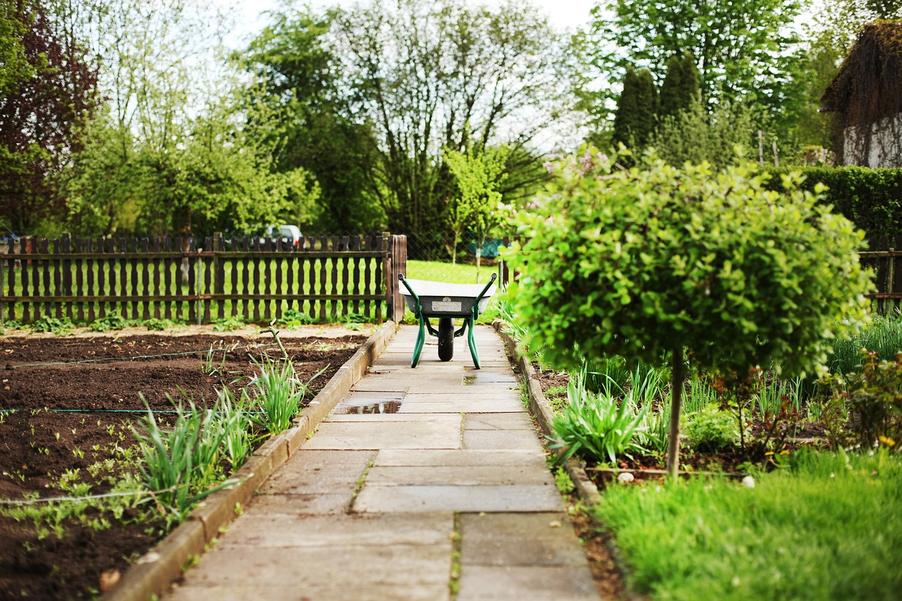 brouette standard dans un jardin bien entretenu