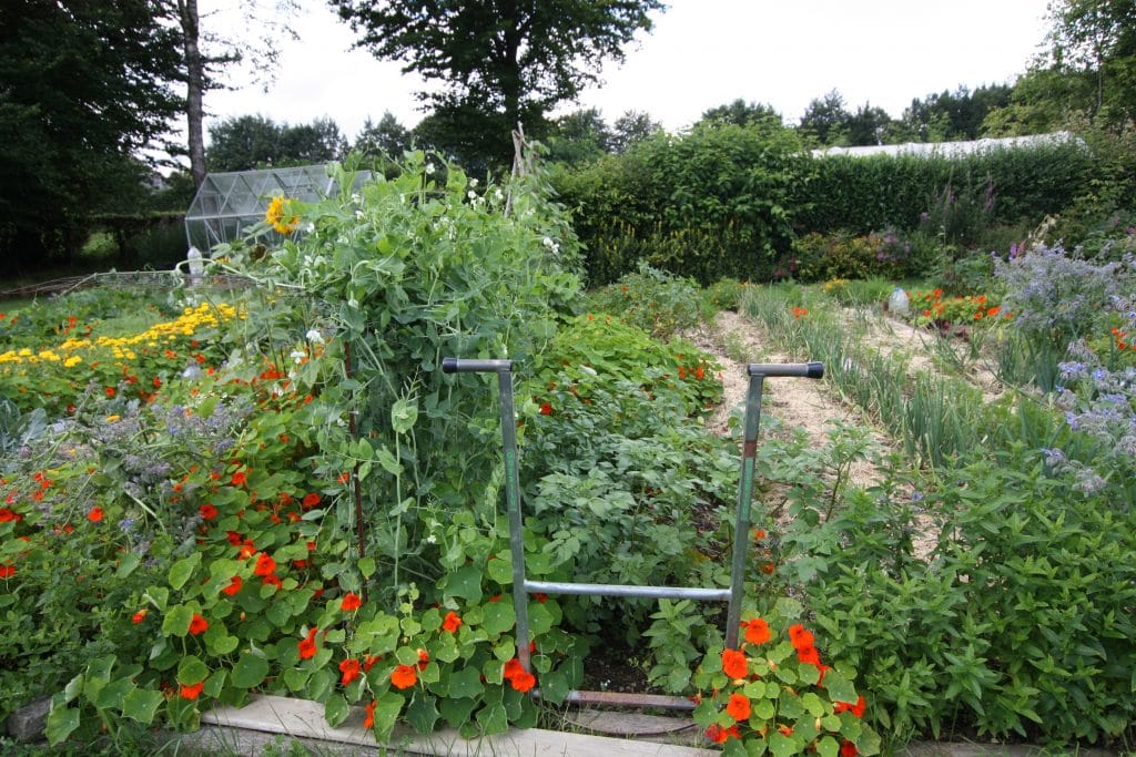 Sol enrichi avec compost, fumier et feuilles mortes dans un jardin naturel