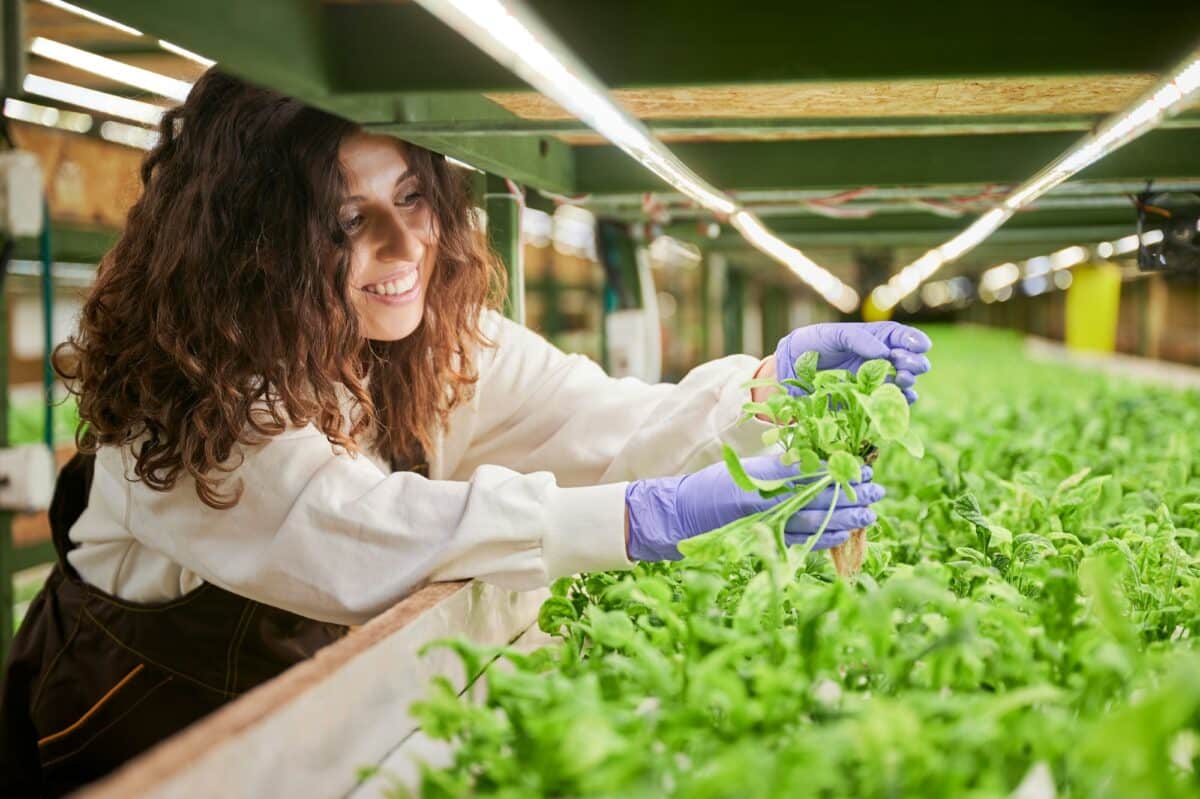 Femme souriante vérifiant des plantes dans une serre lumineuse