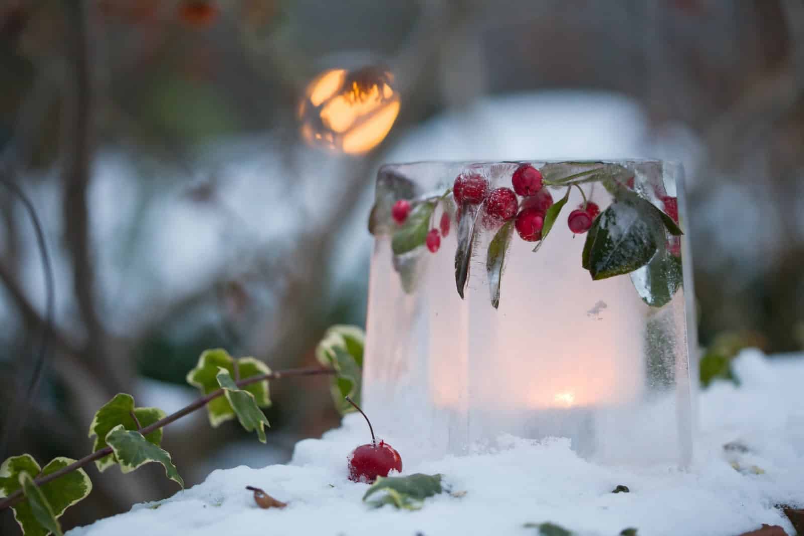 Protéger son jardin en hiver : les indispensables